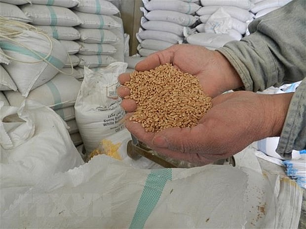 ADB công bố gói hỗ trợ 14 tỷ USD giải quyết khủng hoảng lương thực