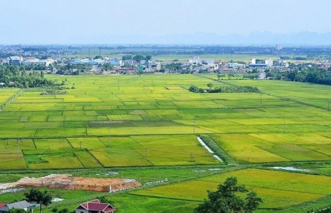 TP. Hồ Chí Minh: Hàng loạt dự án nhà ở được đề xuất chuyển đổi mục đích từ đất trồng lúa