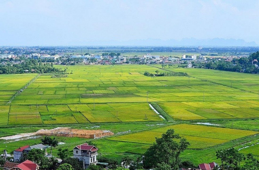 TP. Hồ Chí Minh: Hàng loạt dự án nhà ở được đề xuất chuyển đổi mục đích từ đất trồng lúa