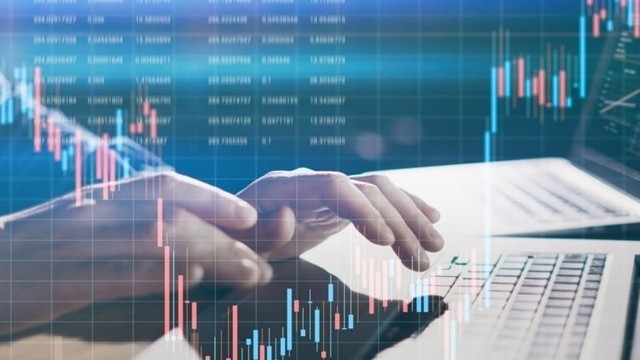 Công ty Camimex Group bị phạt 310 triệu đồng do vi phạm nhiều lỗi