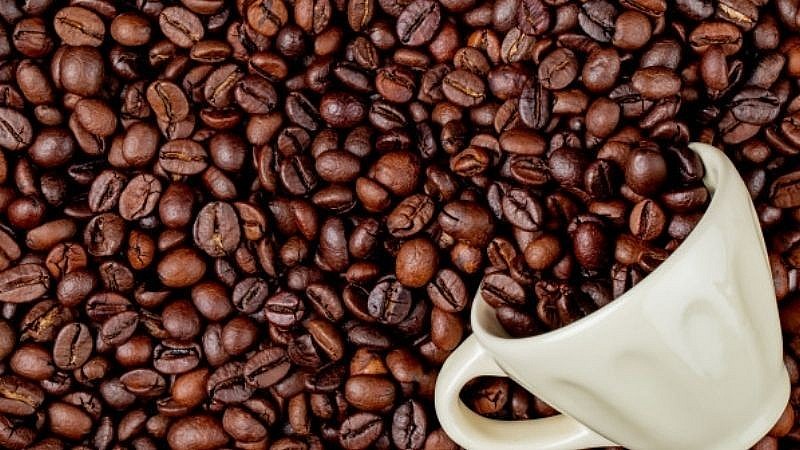 Giá cà phê hôm nay (8/12): Tăng nhẹ ở sàn London nhưng quay đầu giảm mạnh ở sàn New York