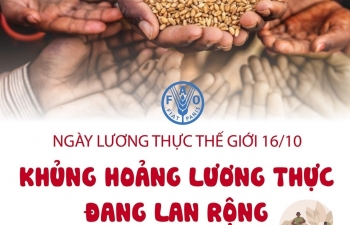 Ngày Lương thực Thế giới 16/10: Khủng hoảng lương thực đang lan rộng