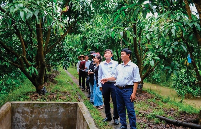 agribank tiep suc phat trien xoai cao lanh