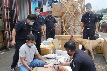 Đề nghị thu hồi giấy phép kinh doanh 3 doanh nghiệp chây ỳ nợ thuế