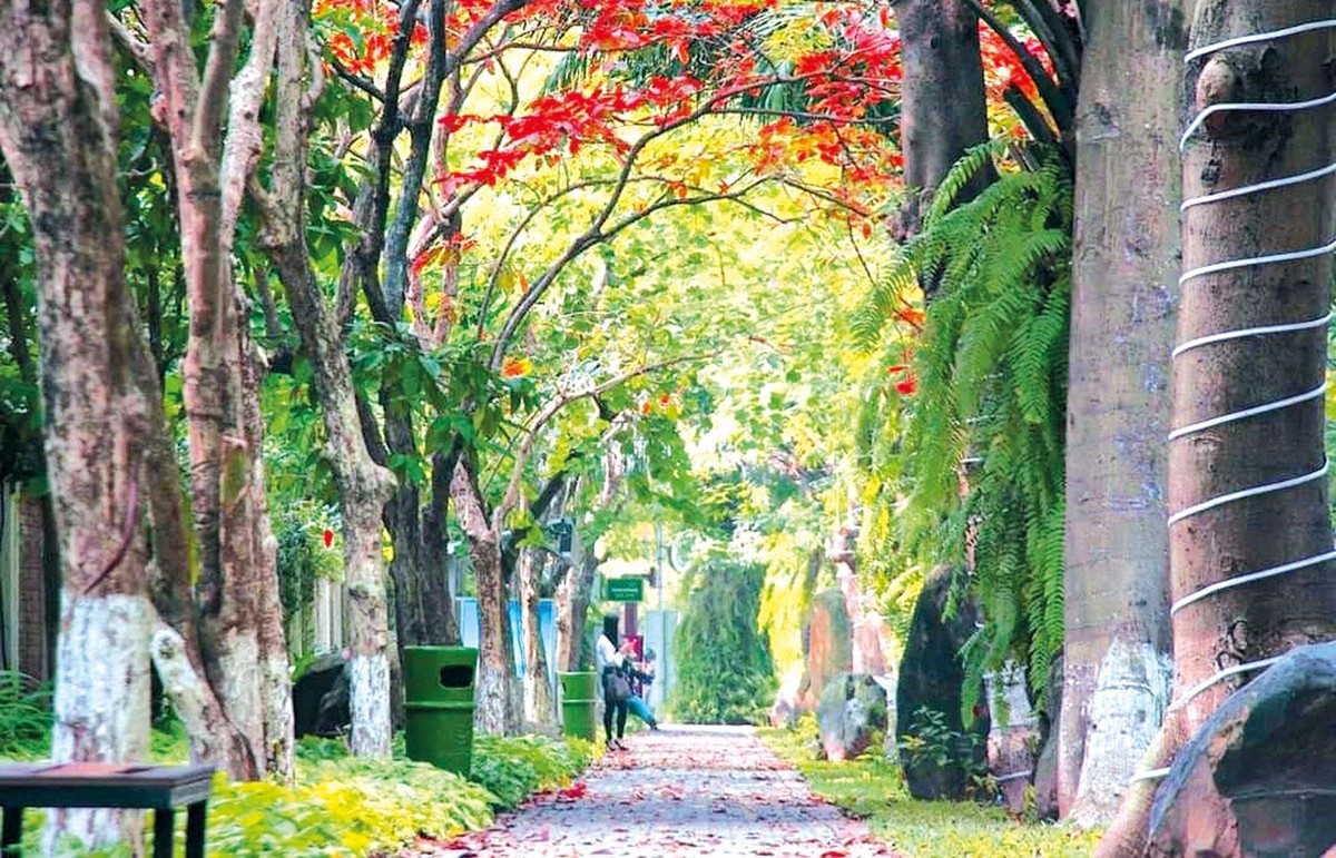 Khu đô thị nói không với những cung đường, vỉa hè bê tông tại Việt Nam
