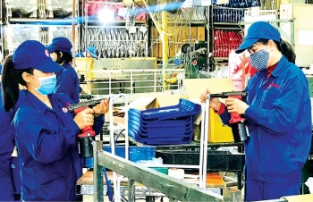Quy định tạm nộp 80% thuế thu nhập: Giúp doanh nghiệp có thêm nguồn lực phục hồi sản xuất