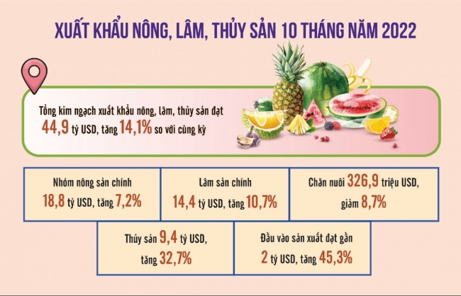 Xuất khẩu nông sản bắt kịp tín hiệu thị trường, nỗ lực về đích