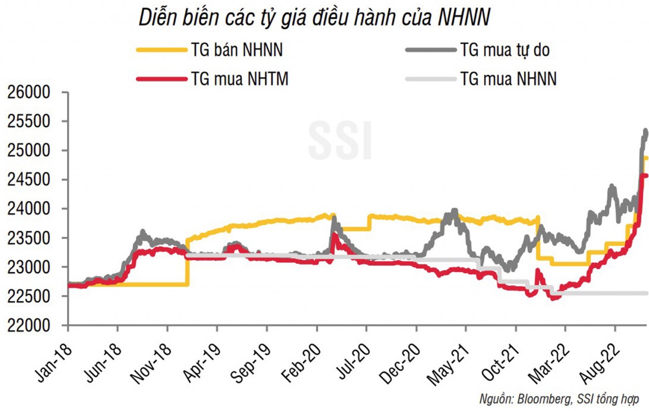 Tỷ giá: Cần thêm thời gian để cải thiện tâm lý nắm giữ USD trên thị trường