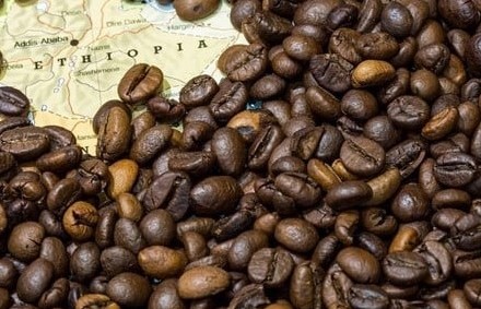 Giá cà phê thế giới hôm nay (10/1) biến động trái chiều trên hai sàn giao dịch