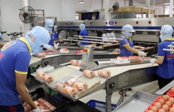 Chính sách tài khóa tạo đà phục hồi nền kinh tế