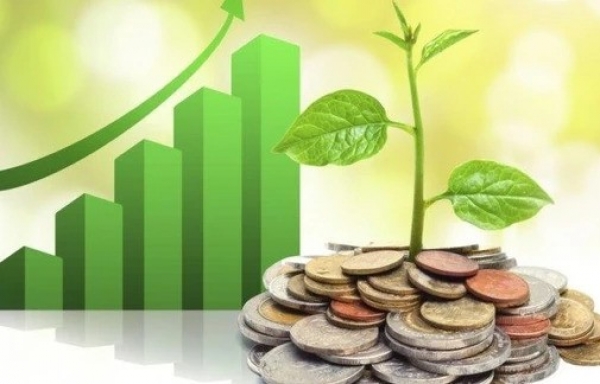 Nhiều doanh nghiệp trả cổ tức bằng tiền mặt, cao nhất 35%