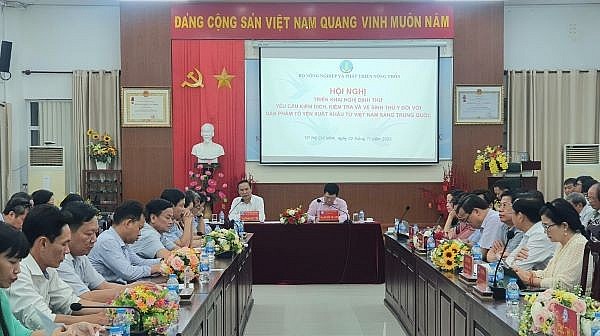 tổ yến của Việt Nam xuất khẩu sang Trung Quốc