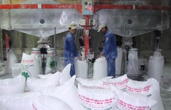 Hoàn thuế tinh bột sắn: Phải đảm bảo có nộp thì mới có hoàn
