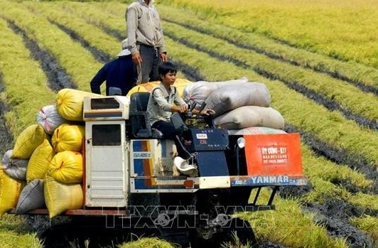 Yêu cầu các ngân hàng chưa dùng hết “room” tín dụng đẩy nhanh giải ngân