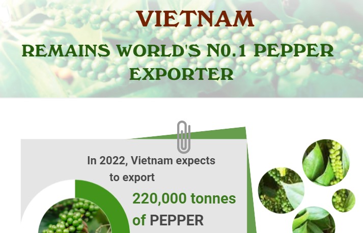 Vietnam remains world's No.1 pepper exporter