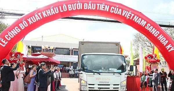 Việt Nam xuất khẩu lô bưởi đầu tiên sang Hoa Kỳ