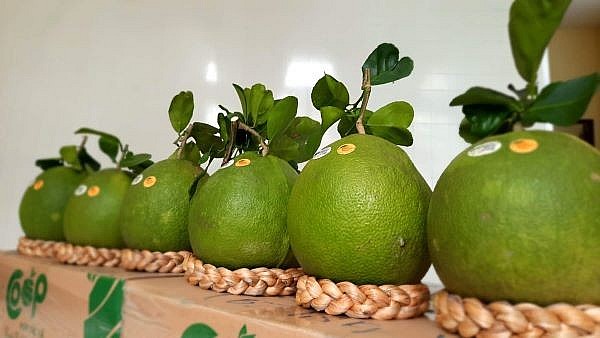 Xuất khẩu nông lâm thủy sản đạt gần 50 tỷ USD trong 11 tháng Xuất khẩu nông lâm thủy sản đạt gần 50 tỷ USD trong 11 tháng
