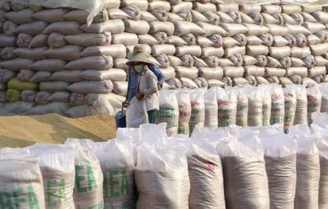 VCCI: Quản lý nhập khẩu gạo cần xem xét đến lợi ích của các doanh nghiệp