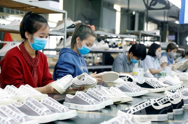 CPTPP: Gia tăng tỷ lệ tận dụng ưu đãi của doanh nghiệp Việt Nam