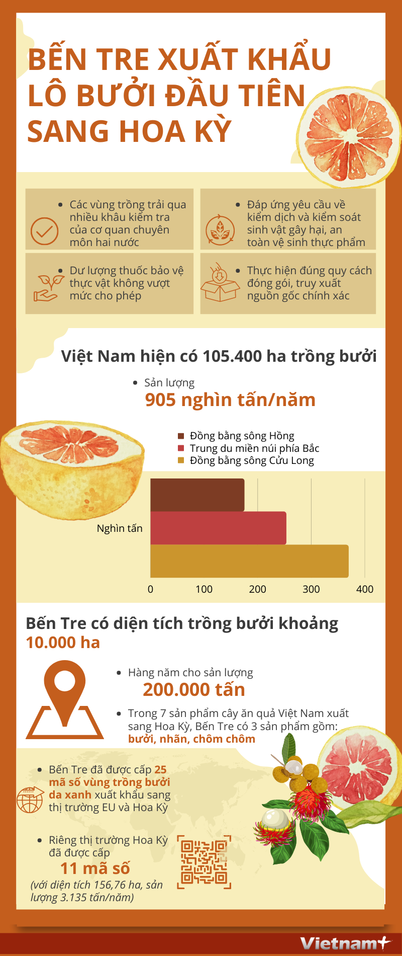 Bến Tre xuất khẩu lô bưởi đầu tiên của Việt Nam sang Hoa Kỳ