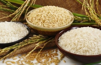 Giá lúa gạo hôm nay 9/12 tiếp tục xu hướng đi ngang