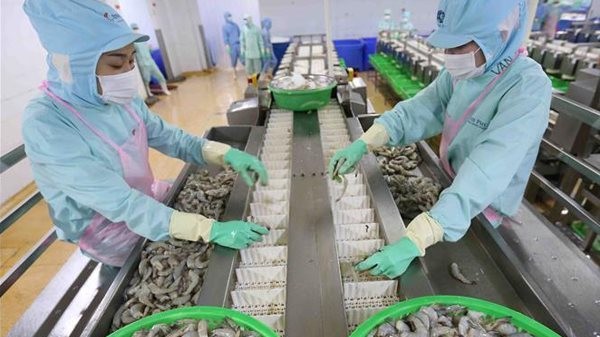 Thị trường tiền tệ tuần 12-16/12: Lãi suất vẫn là tâm điểm của tuần