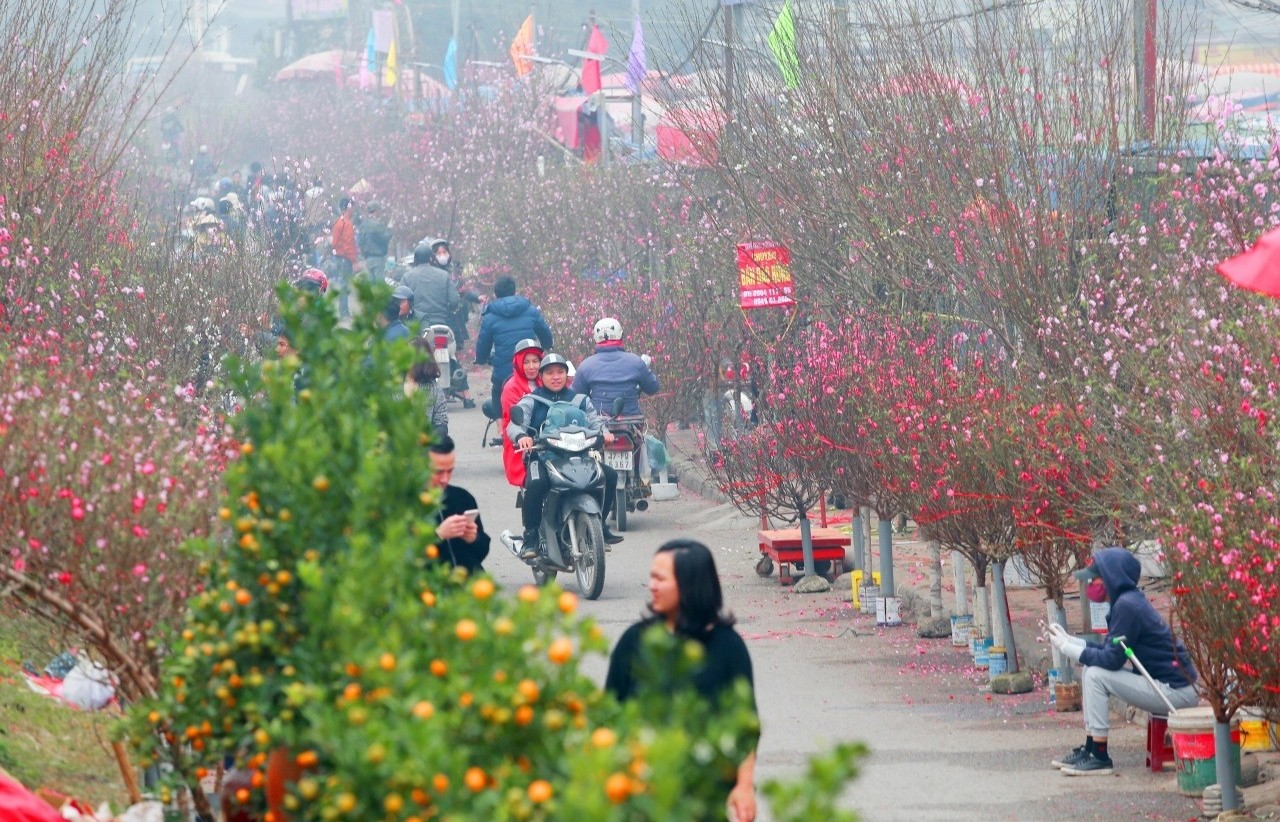 Hà Nội tổ chức 91 điểm chợ hoa xuân phục vụ Tết Nguyên đán Quý Mão 2023