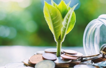 Nhiều doanh nghiệp trả cổ tức bằng tiền mặt ở mức cao