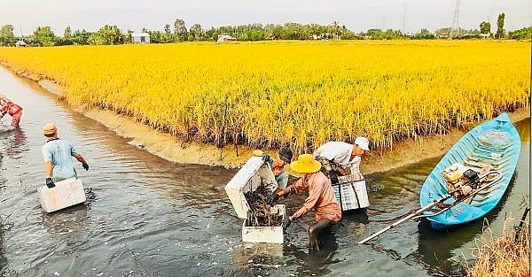Xuất khẩu thủy sản cán đích 11 tỷ USD-mức kỷ lục trong lịch sử