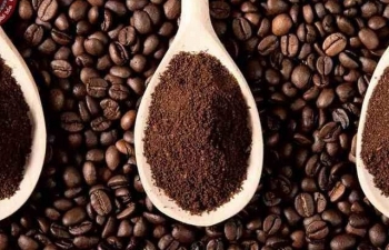 Giá cà phê hôm nay (29/12): Arabica bất ngờ tăng mạnh