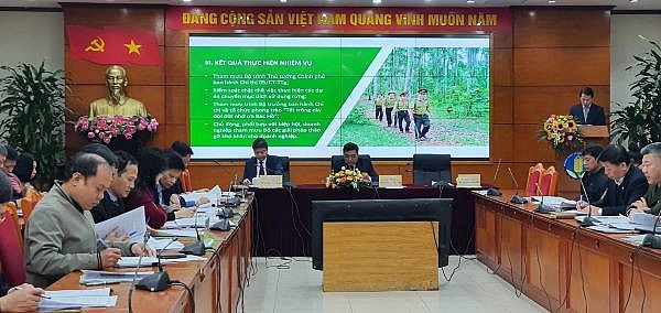 Năm 2022, ngành lâm sản xuất siêu hơn 14 tỷ USD