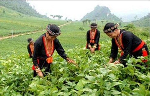 Nguồn vốn tín dụng chính sách tăng 13,7% trong năm 2022