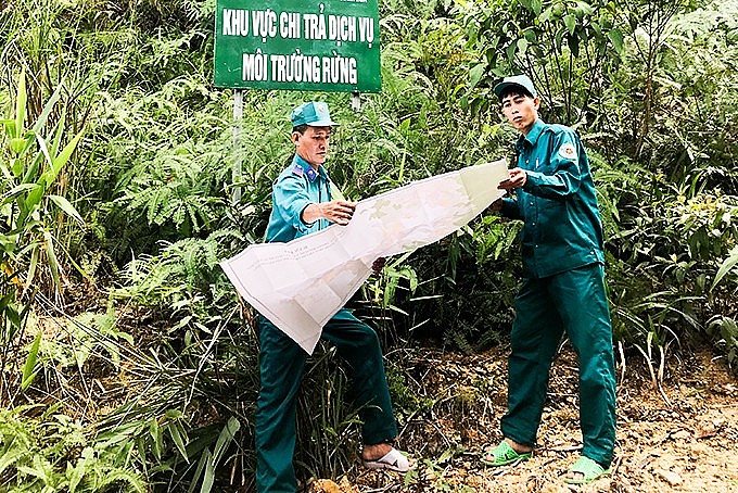 Năm 2023, phấn đấu thu đúng, thu đủ tiền chi trả dịch vụ môi trường rừng