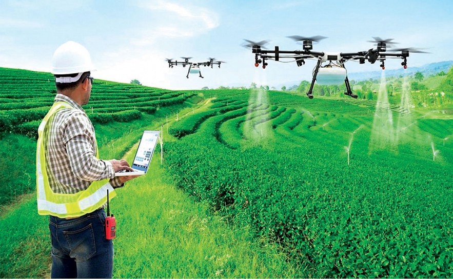 Nhiều nông dân thành công trong áp dụng công nghệ, chuyển đổi số vào sản xuất nông nghiệp.
