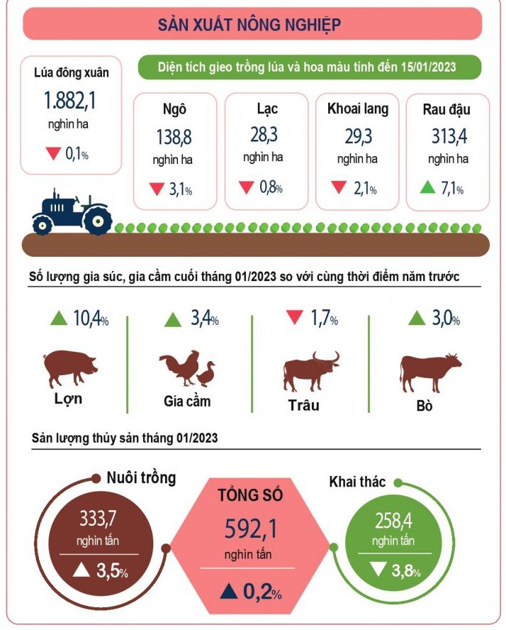 Infographics: Sản xuất nông nghiệp tháng 1/2023