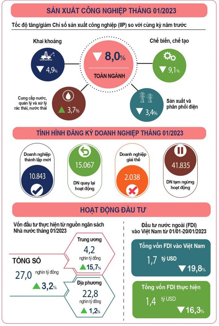 Infographics: Hoạt động đầu tư tháng 1/2023