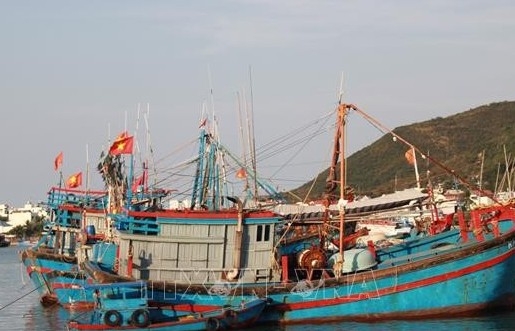 Tập trung chống khai thác hải sản bất hợp pháp, quyết tâm gỡ "thẻ vàng" trong năm 2023