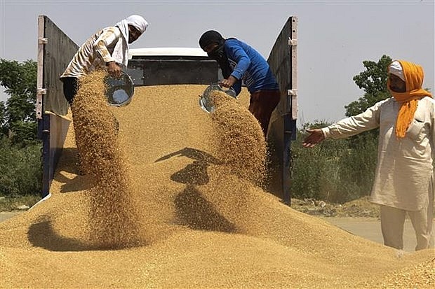 WTO: Thương mại thế giới ổn định và tăng trưởng 'tốt hơn dự báo' WTO: Thương mại toàn cầu ổn định và tăng trưởng 'tốt hơn dự báo'