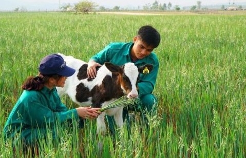 49 dự án nông nghiệp của Việt Nam đầu tư tại Lào