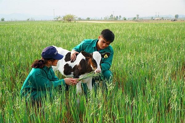 Có 49 dự án đầu tư nông nghiệp của Việt Nam tại Lào