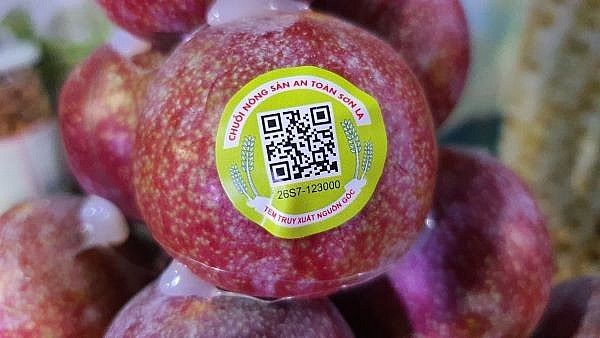 Truy xuất nguồn gốc nông sản - thực phẩm cần số hóa