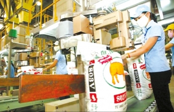 Giá lợn hơi dự báo sẽ tiếp tục xu hướng giảm