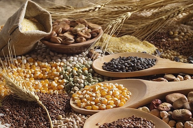 FAO: Chỉ số giá lương thực thế giới giảm 19% trong tháng 2/2023