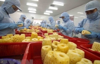 Vietnam-Laos trade turnover hit 99.2 million USD in January