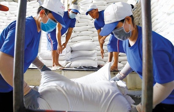 Export prices of Vietnamese rice up nearly 10%