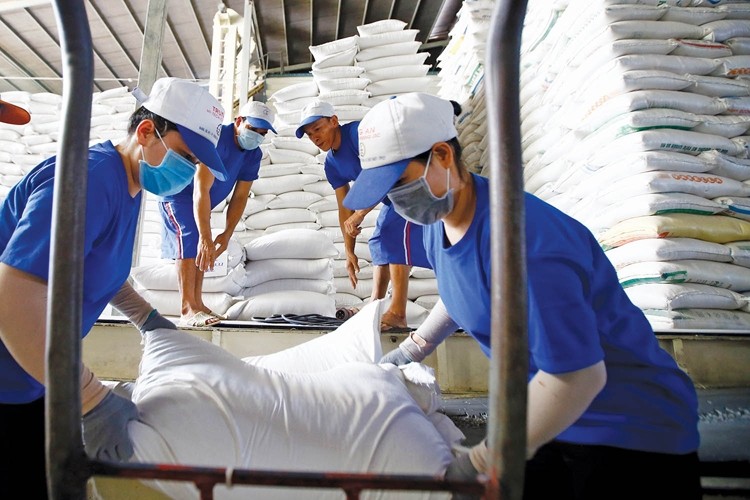 Export prices of Vietnamese rice up nearly 10%
