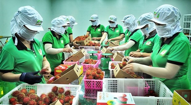 Vietnam, China seek to boost agro-aquatic product trade