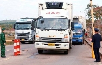 China's reopening good news for Vietnamese exporters