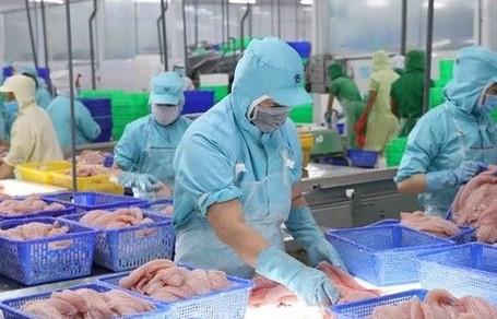 Tra fish exports predicted to recover from third quarter