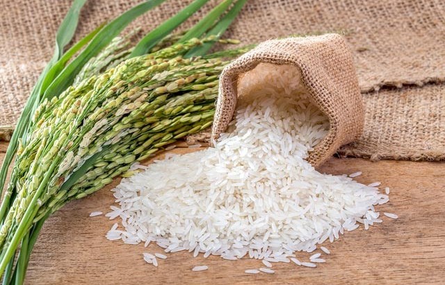 Giá lúa gạo hôm nay không có biến động mới
